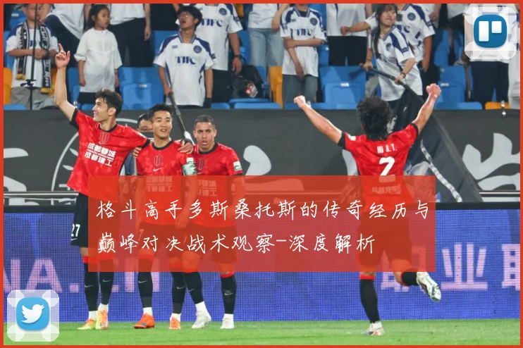 格斗高手多斯桑托斯的传奇经历与巅峰对决战术观察-深度解析