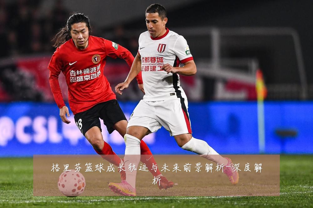 格里芬篮球成长轨迹与未来前景解析-深度解析